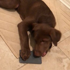 Meet your Posher, Jonathan